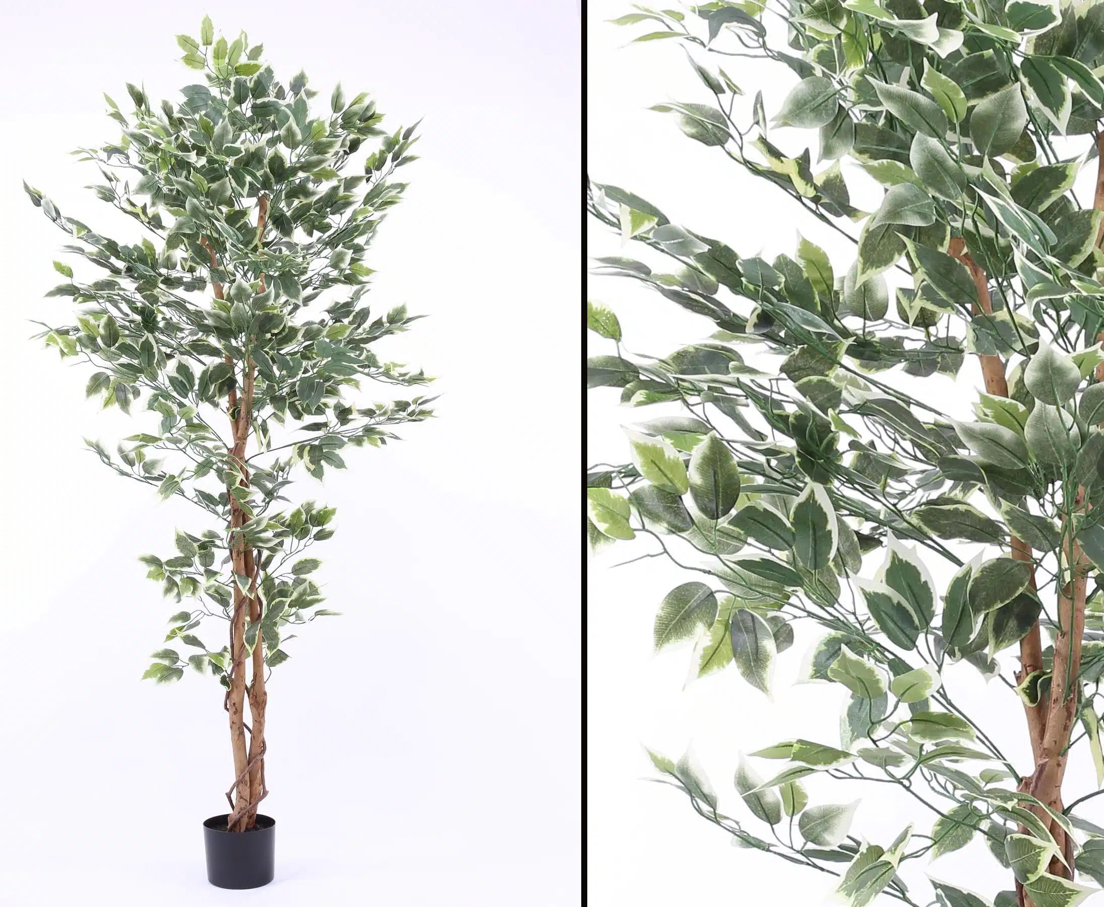Ficus Benjamini 150 cm (840 blade), produktbillede 8 af 23, Kunstige planter & træer hos HomeNordic