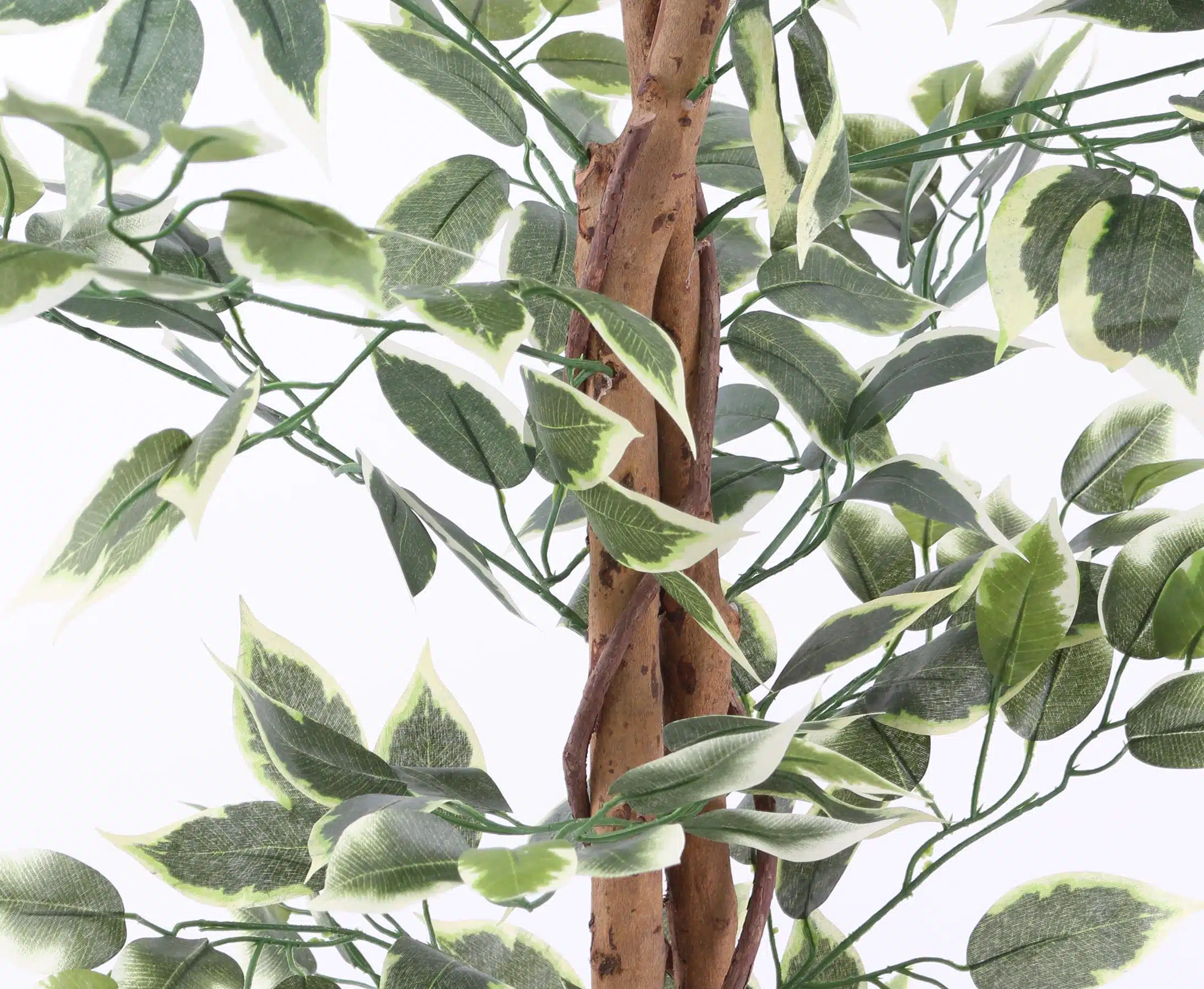 Ficus Benjamini 150 cm (840 blade), produktbillede 7 af 23, Kunstige planter & træer hos HomeNordic