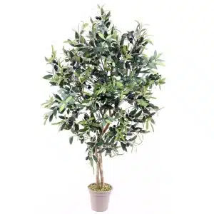 Oliventræ 125 cm
