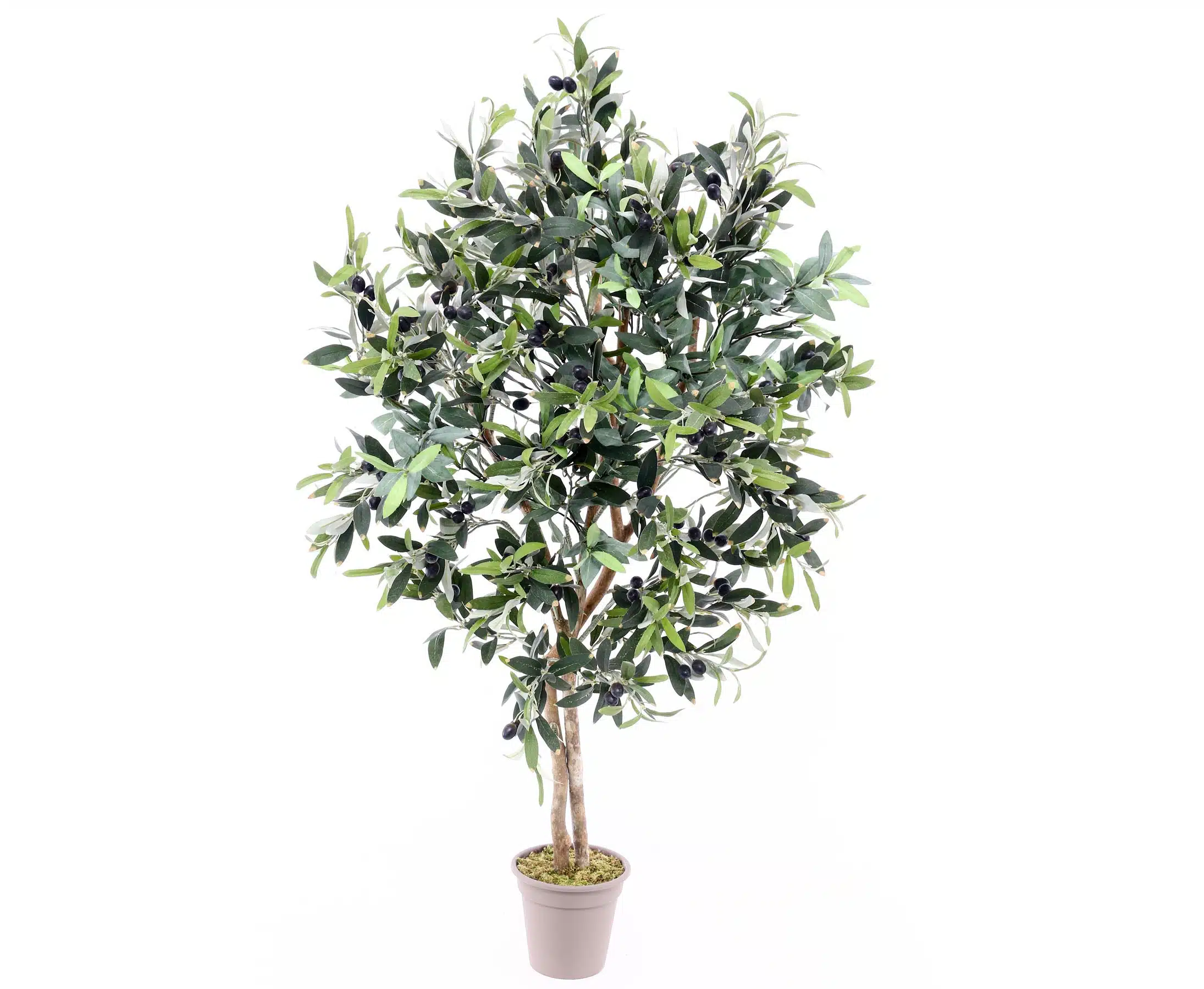 Oliventræ 125 cm (960 blade), produktbillede 6 af 23, Kunstige planter & træer hos HomeNordic