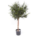 Oliventræ 75 cm (1.040 blade)