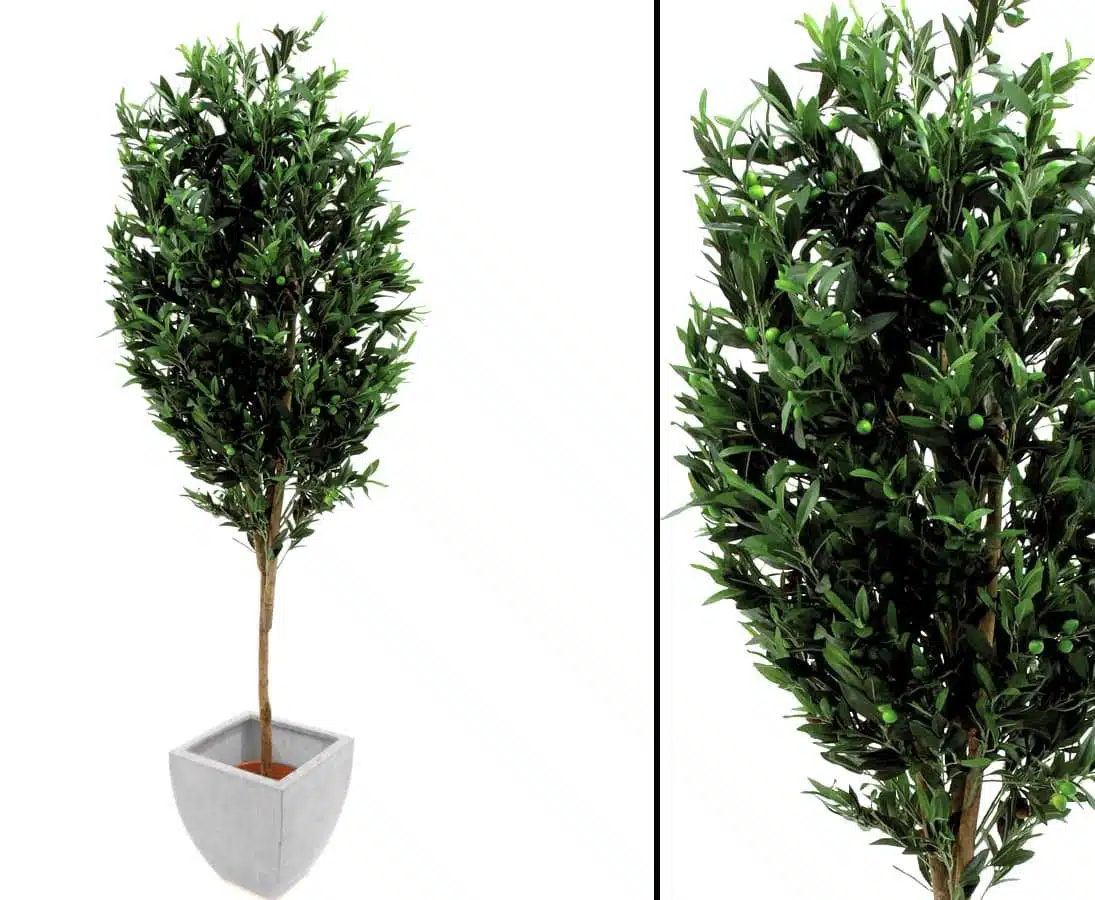Oliventræ 200 cm (3.456 blade), produktbillede 7 af 23, Kunstige planter & træer hos HomeNordic