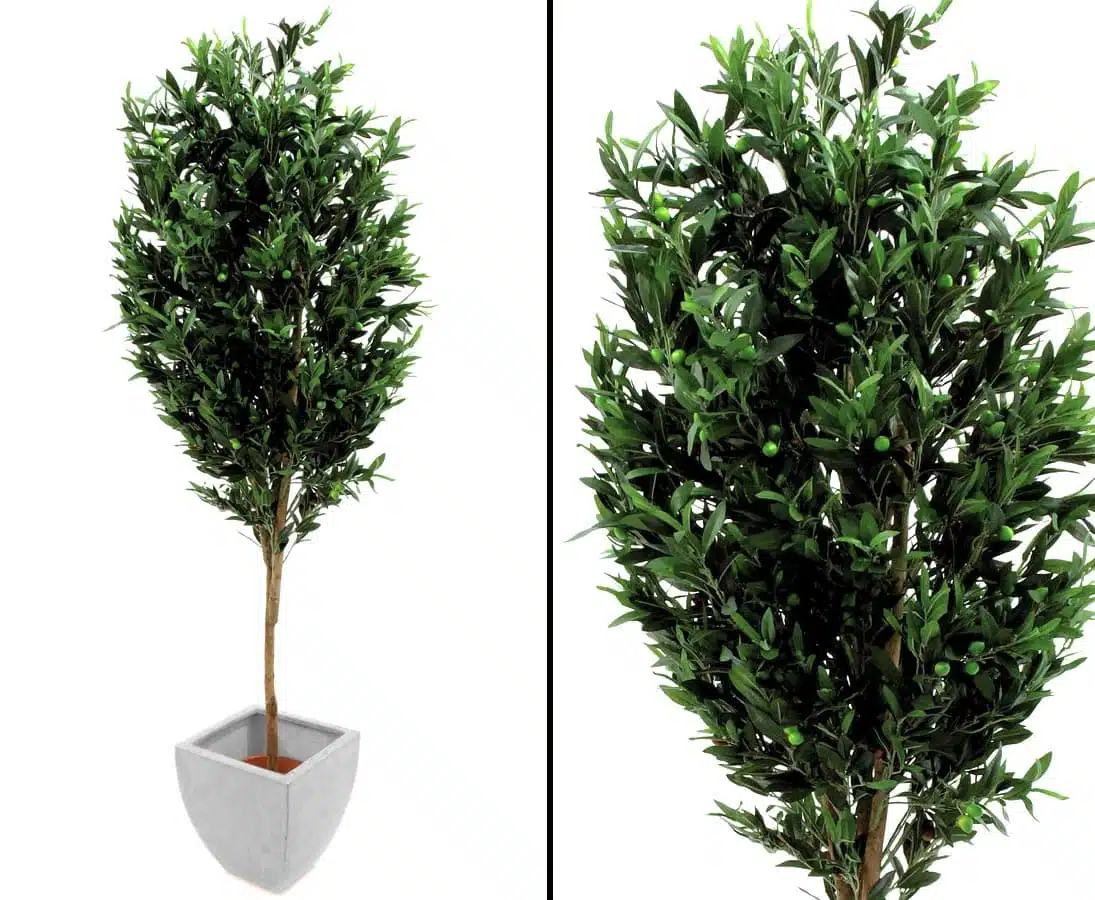 Oliventræ 250 cm (3.968 blade), produktbillede 6 af 23, Kunstige planter & træer hos HomeNordic