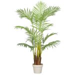 Areca palme 140 cm med 15 palmeblade