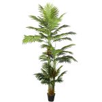 Areca palme 290 cm med 41 palmeblade