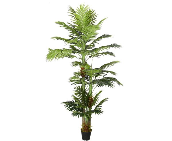 Areca palme 290 cm med 41 palmeblade