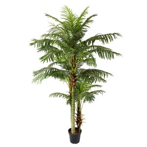 Areca palme 235 cm med 45 palmeblade
