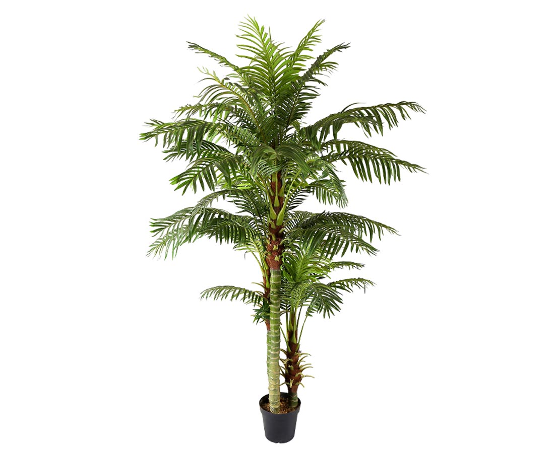 Billede af Areca palme 235 cm med 45 palmeblade