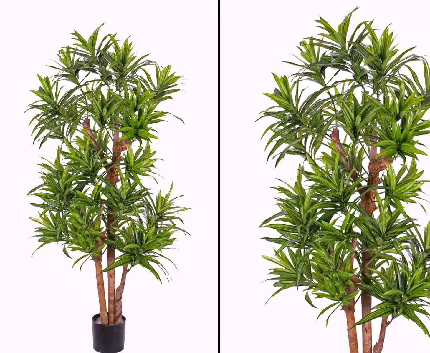 Dracena palme 120 cm med 846 blade, produktbillede 5 af 24, Kunstige planter & træer hos HomeNordic