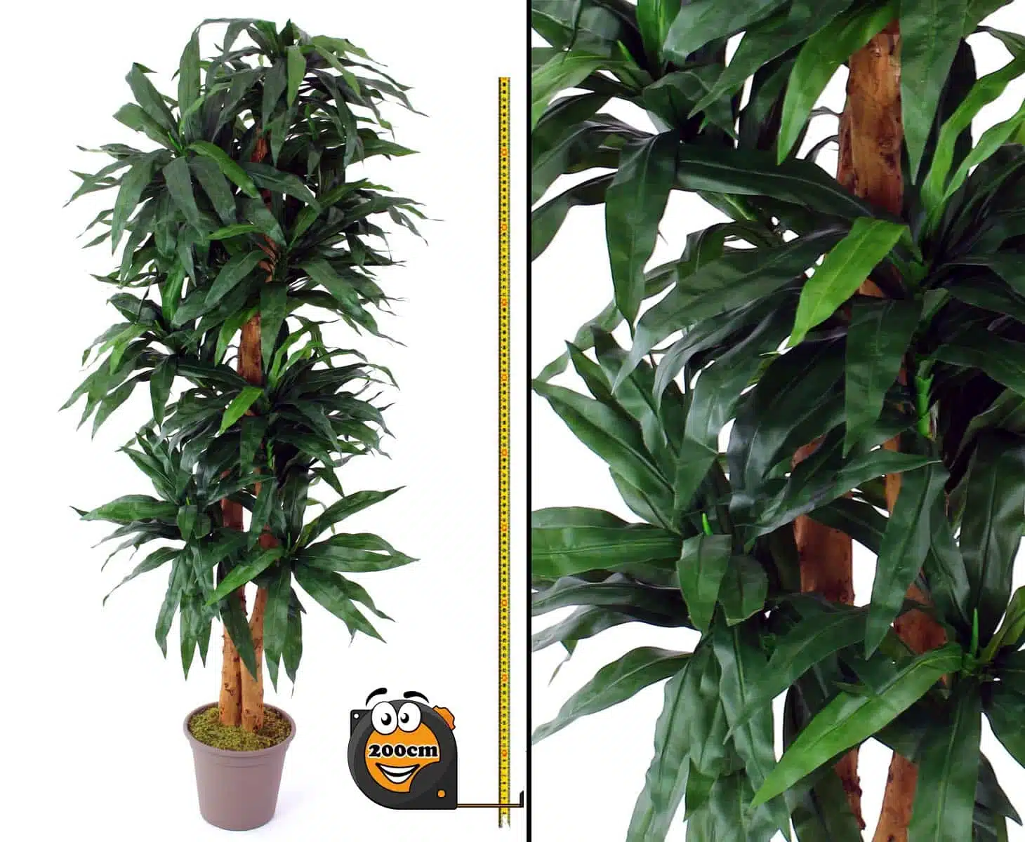 Dracena palme 200 cm med 368 blade, produktbillede 8 af 24, Kunstige planter & træer hos HomeNordic