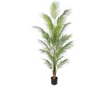 Areca palme 150 cm med 14 palmeblade