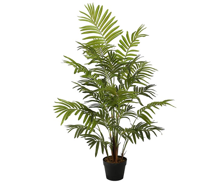 Areca Palme 120 Cm Med 9 Palmeblade