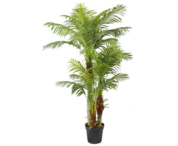Areca palme 180 cm med 30 palmeblade