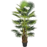 Areca palme 160 cm med 41 palmeblade