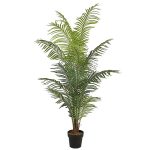 Areca palme 200 cm med 14 palmeblade