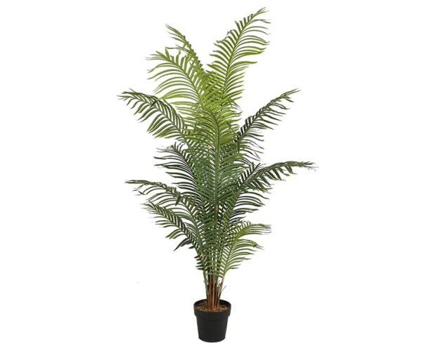 Areca palme 200 cm med 14 palmeblade