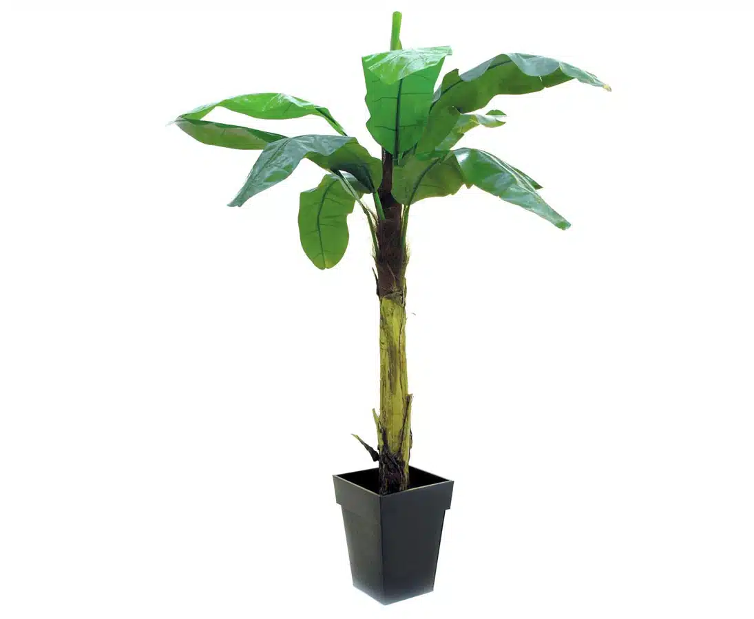 Bananpalme 220 cm med 9 blade, produktbillede 5 af 23, Kunstige planter & træer hos HomeNordic