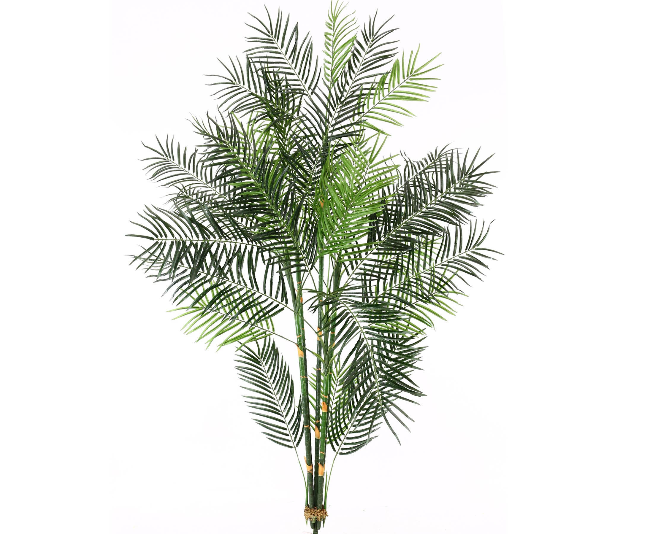 Areca palme 135 cm med 15 palmeblade