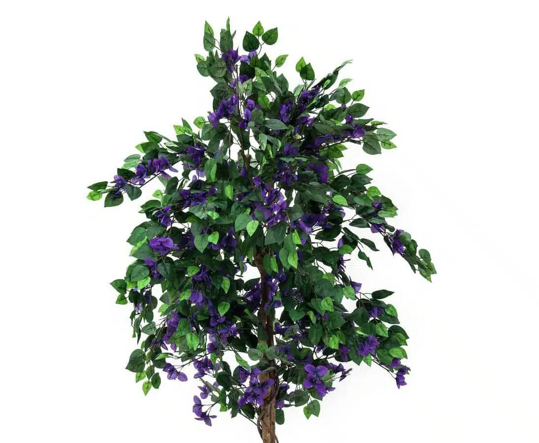 Bougainvillea kunsttræ 150 cm med lavendel farvede blomster, produktbillede 6 af 24, Kunstige planter & træer hos HomeNordic