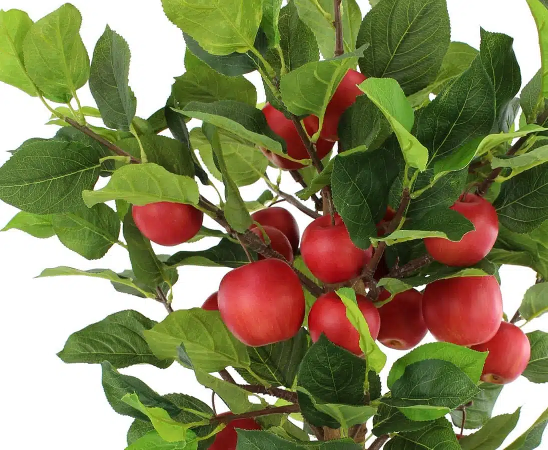 Æbletræ 100 cm med 19 røde æbler, produktbillede 7 af 24, Kunstige planter & træer hos HomeNordic