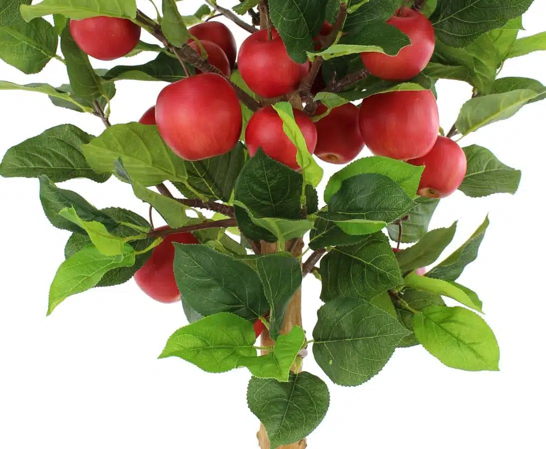 Æbletræ 100 cm med 19 røde æbler, produktbillede 8 af 24, Kunstige planter & træer hos HomeNordic