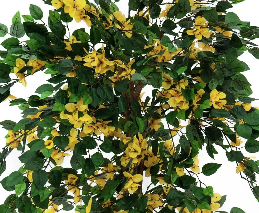 Bougainvillea kunsttræ 150 cm med gule blomster, produktbillede 6 af 24, Kunstige planter & træer hos HomeNordic