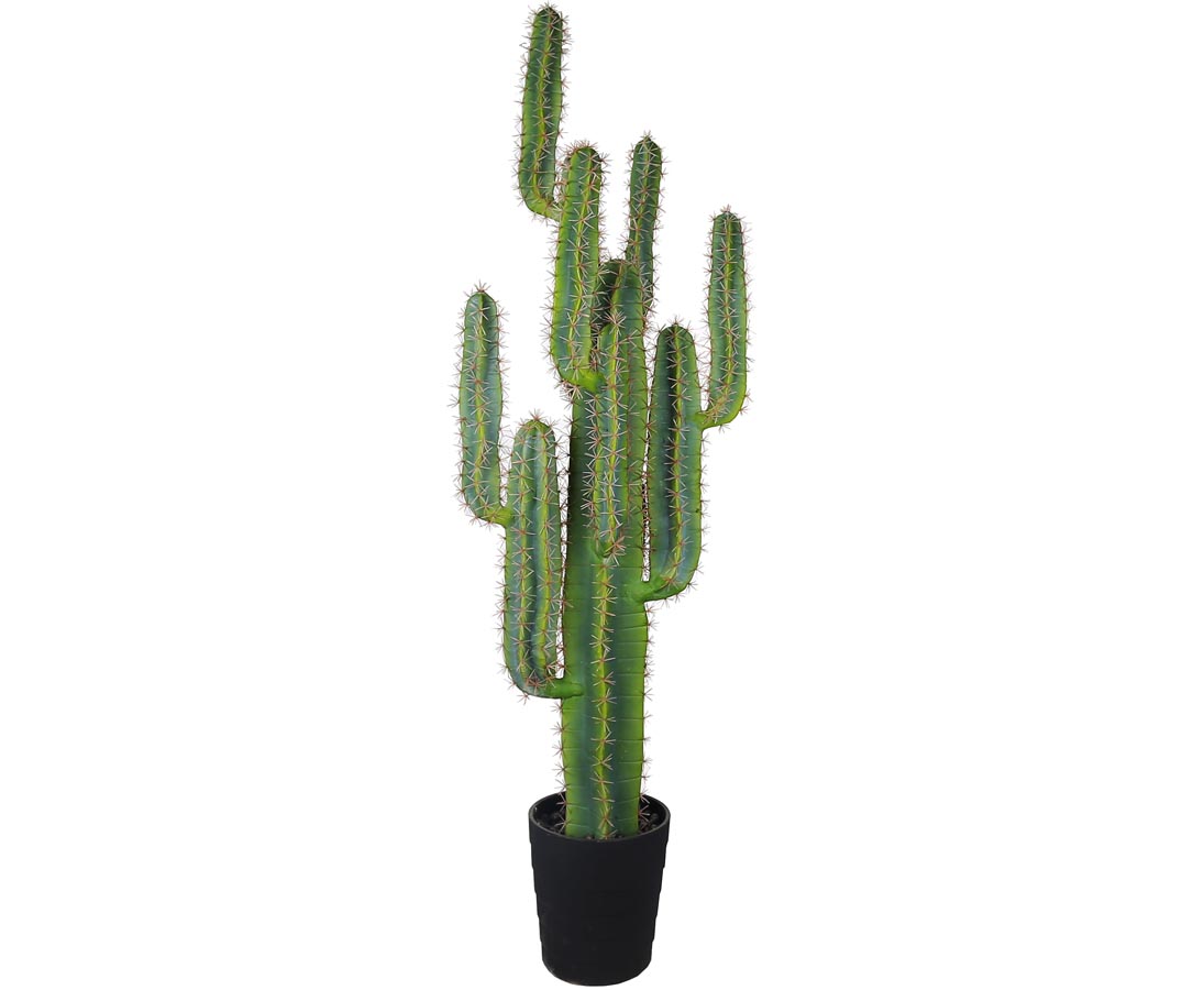 Kaktus 147 cm med 11 arme