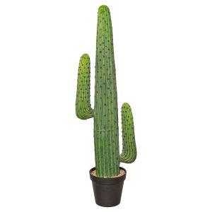 Kaktus 125 cm med 2 arme