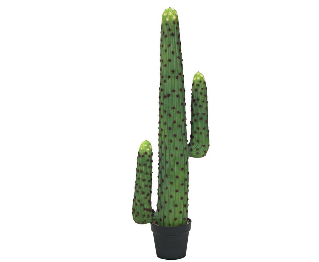 Kaktus 115 cm med 2 arme