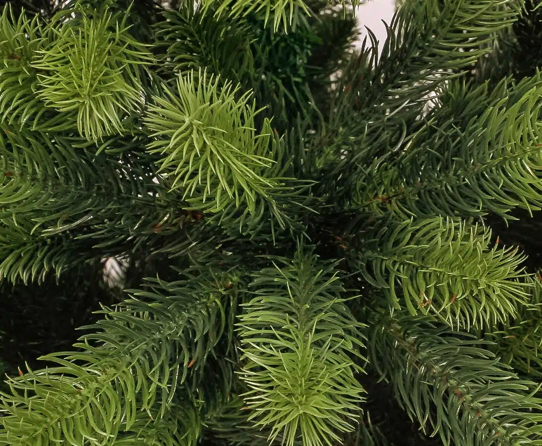 Juletræ 240 cm Spritzguss, produktbillede 6 af 23, Kunstige planter & træer hos HomeNordic