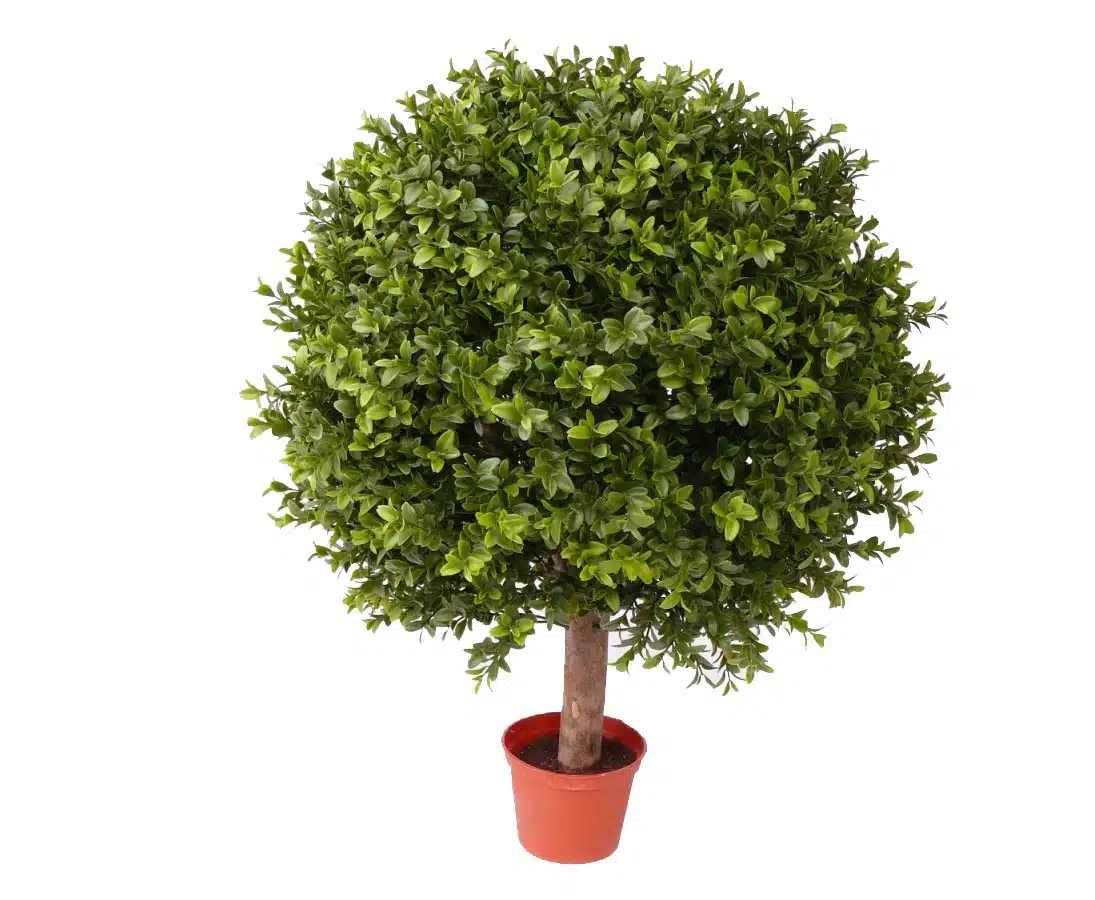 Buksbum kugleform 65 cm høj Ø48 (1.548 blade), produktbillede 5 af 24, Kunstige planter & træer hos HomeNordic