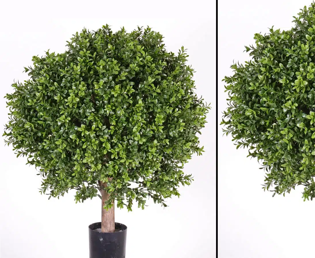 Buksbum kugleform 65 cm høj Ø48 (1.548 blade), produktbillede 7 af 24, Kunstige planter & træer hos HomeNordic