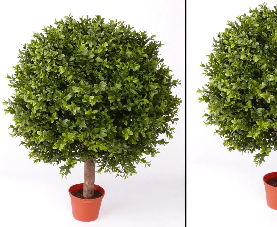 Buksbum kugleform 65 cm høj Ø48 (1.548 blade), produktbillede 6 af 24, Kunstige planter & træer hos HomeNordic