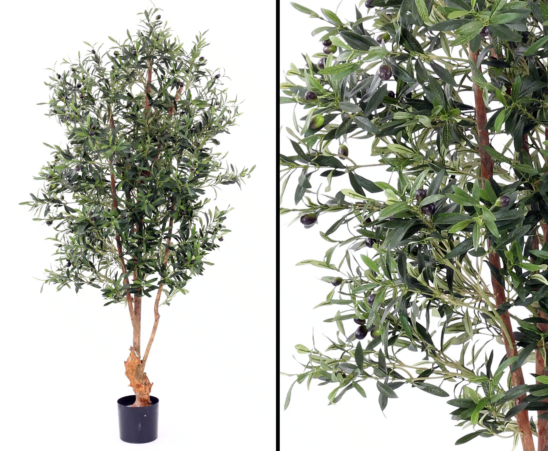 Oliventræ 170 cm med frugter (4.160 blade), produktbillede 7 af 24, Kunstige planter & træer hos HomeNordic
