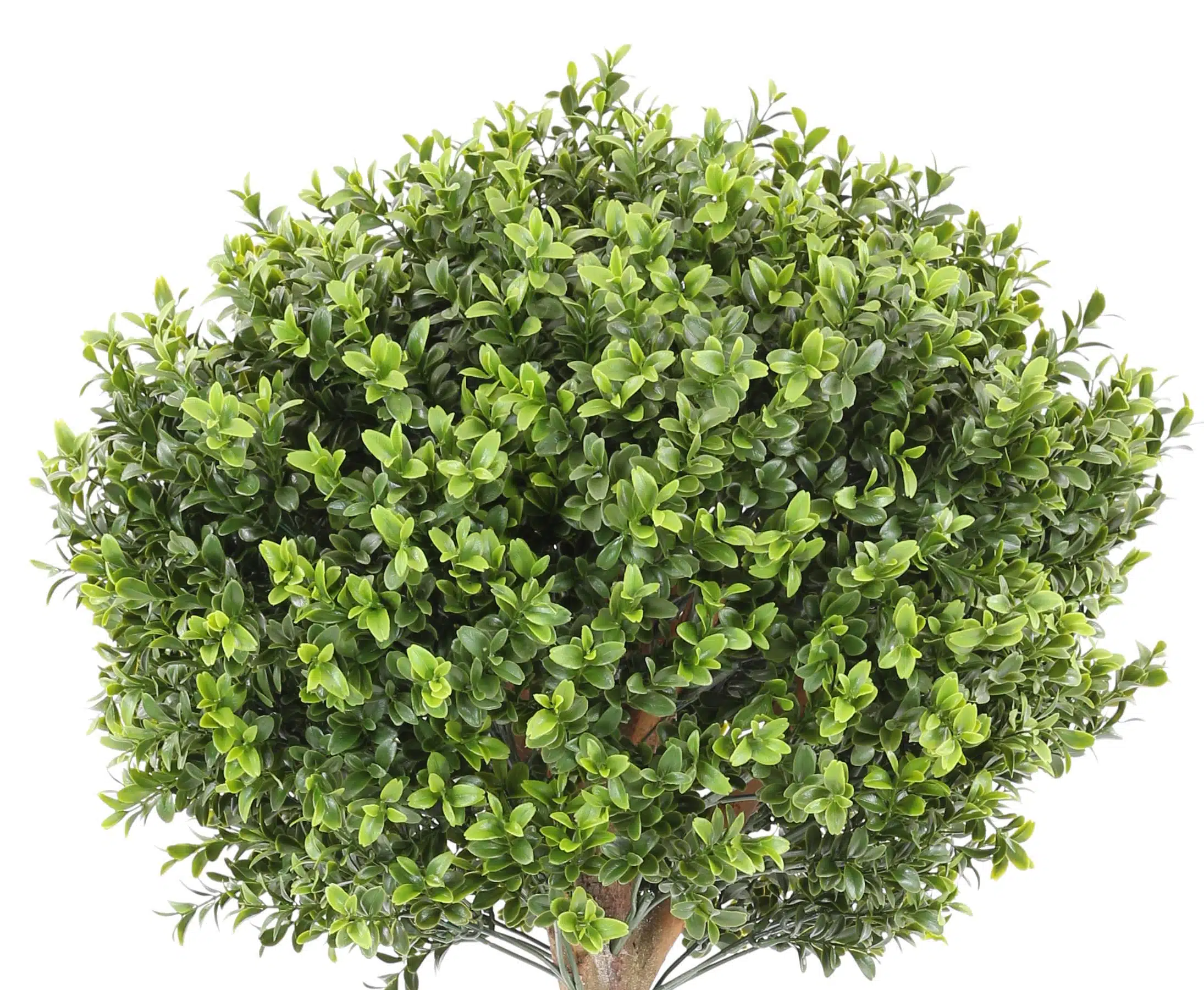 Buksbum kugleform 120 cm høj Ø40, produktbillede 7 af 24, Kunstige planter & træer hos HomeNordic