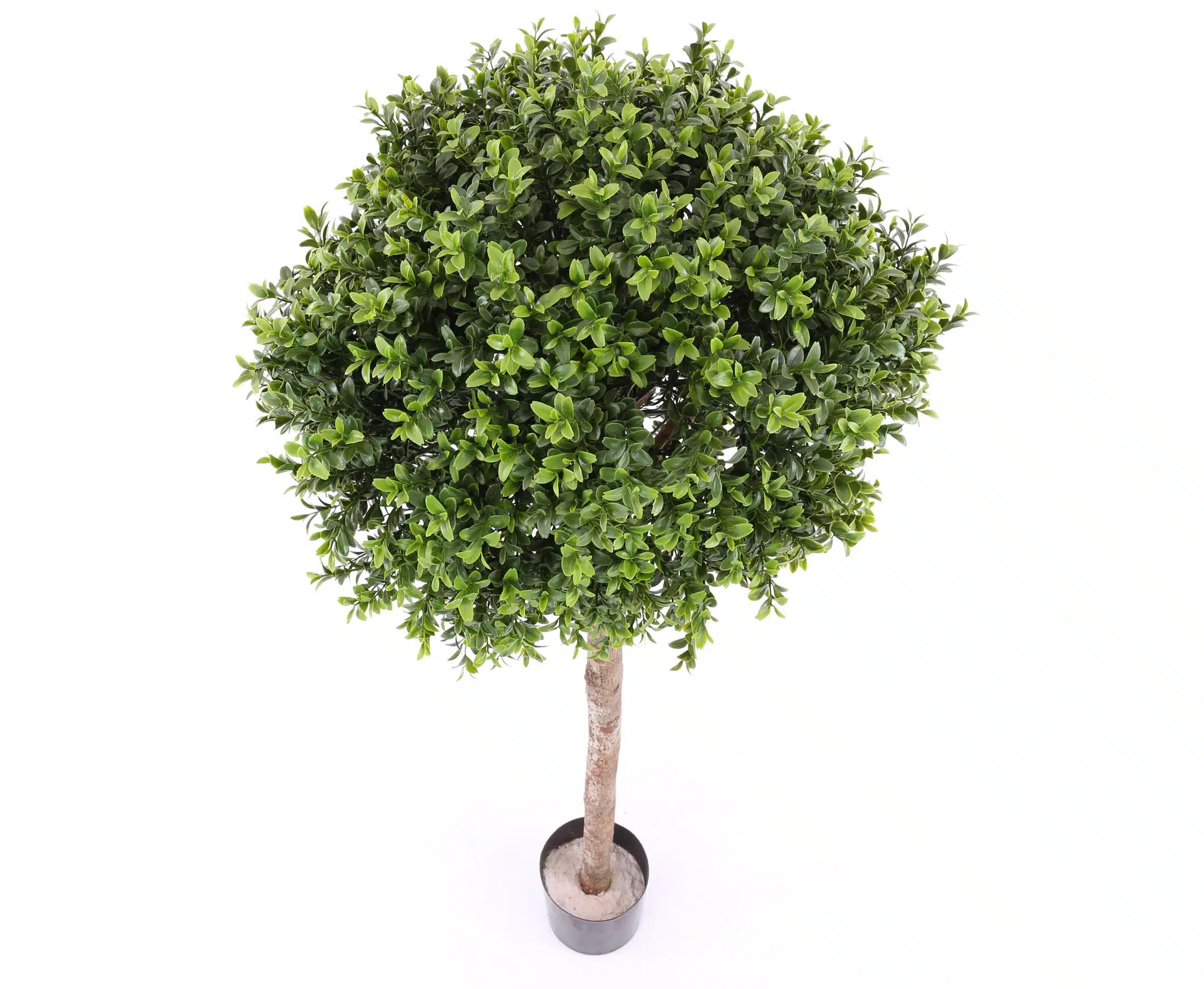 Buksbum kugleform 120 cm høj Ø40, produktbillede 8 af 24, Kunstige planter & træer hos HomeNordic