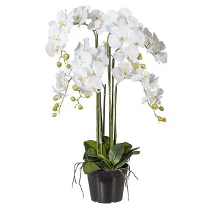 Orkide 100 cm høj - kunstig kæmpe orkide
