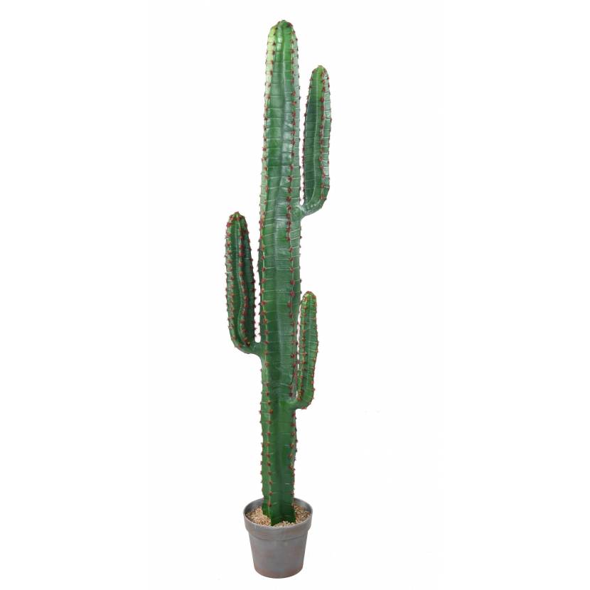 Kaktus Mexico 150 cm med 3 arme